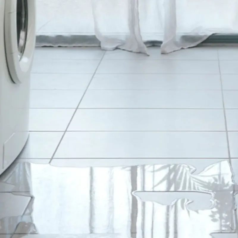 Appliance Leak Cleanup in Mucarabones, PR