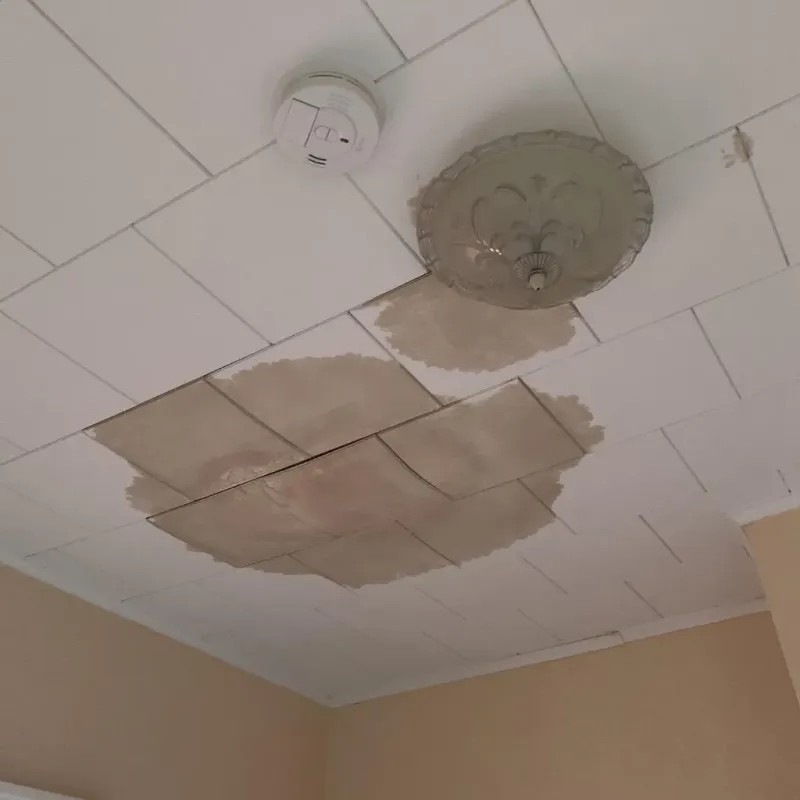 Ceiling Water Damage Repair in Mucarabones, PR