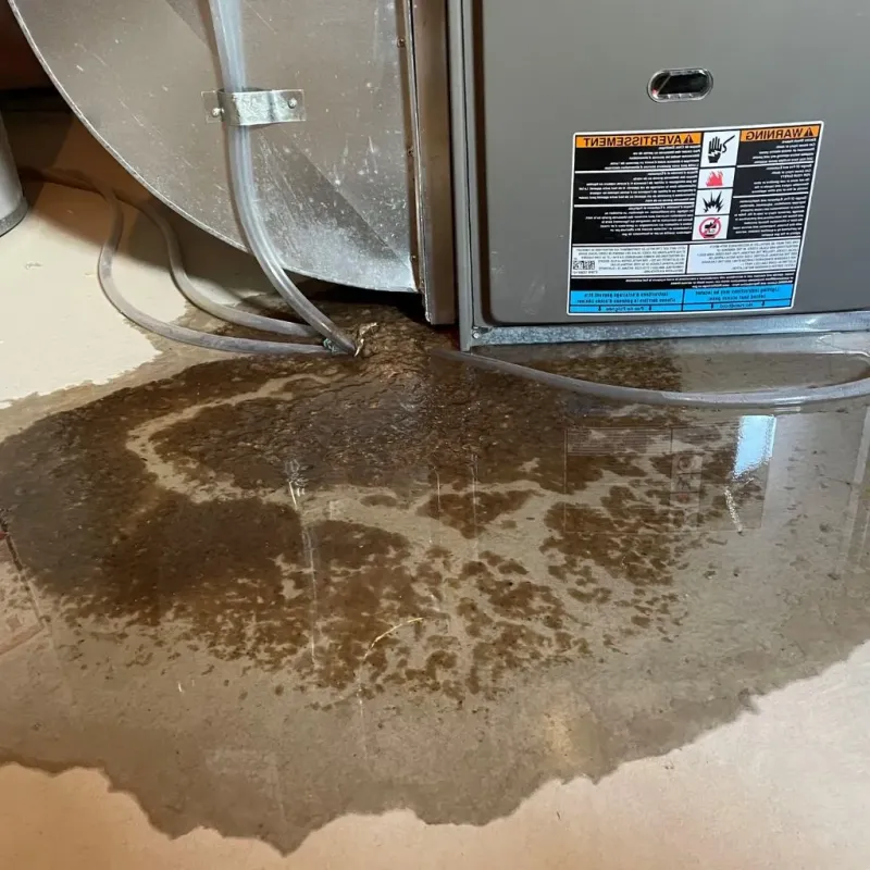 Pipe Burst and Leak Restoration in Mucarabones, PR
