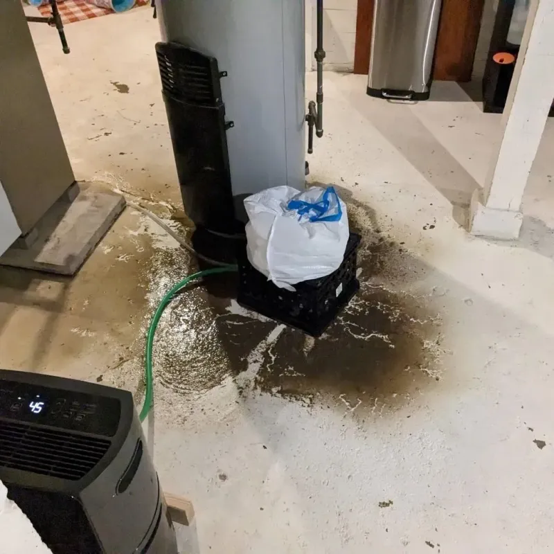 Sewage Backup Cleanup Service in Mucarabones, PR
